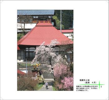 05龍蔵寺と桜.jpg